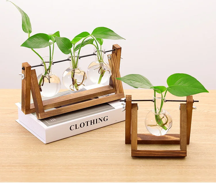 INS style glass hydroponics green plant container, vase, office desk, home decoration
INS style glass hydroponics green plant container, vase, office desk, home decoration