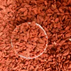 Fresh Chinese Fresh Dried Lycium/goji Berry/wolfberry Low-pesticide Berry Fruit Chinese