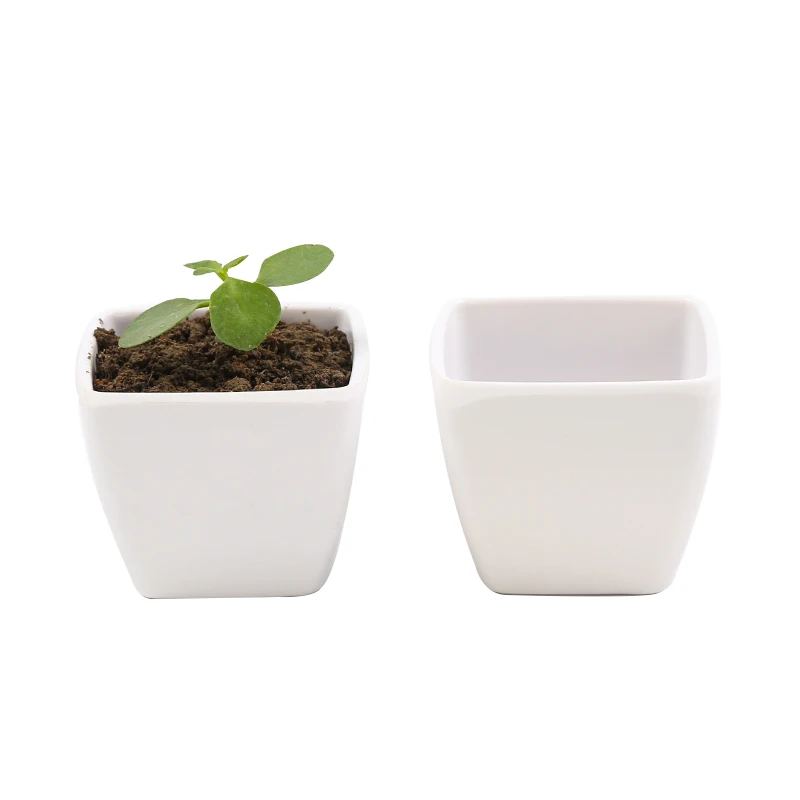 YICAI wholesale Mini square plastic succulents pots for home office table decoration, Black/white
YICAI wholesale Mini square plastic succulents pots for home office table decoration, Black/white