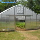 tomato seeds manufacturing agricultural greenhouse