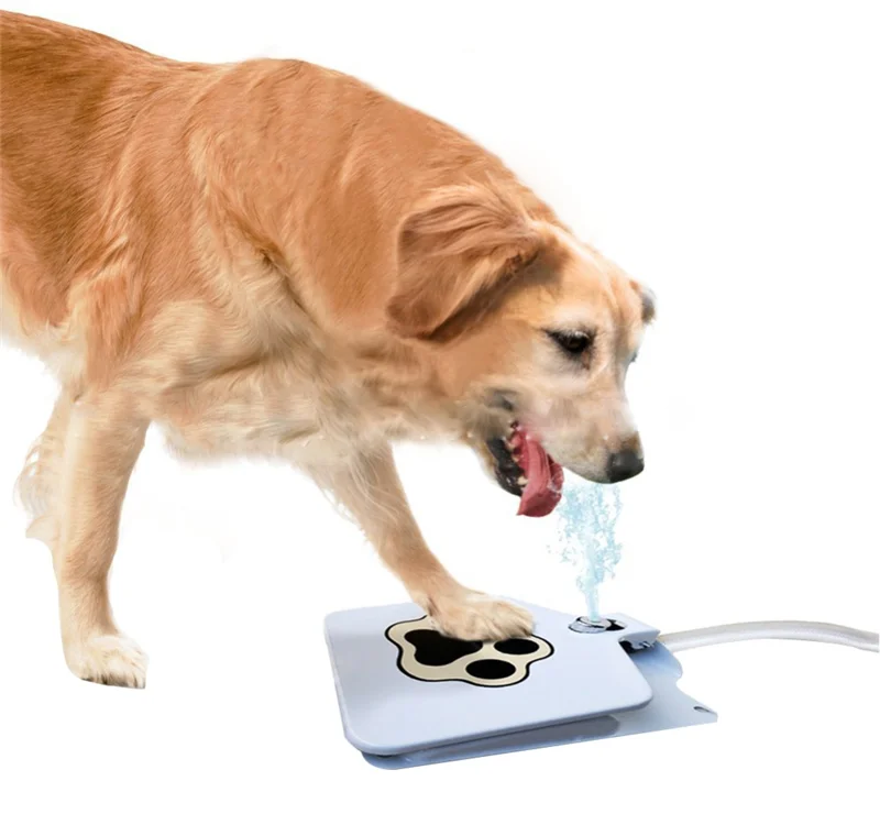 Pet Durable Outdoor New Inventions Pedal Activated Dog Drinking Fountain Pet Automatic Feeders Water Bottles
Pet Durable Outdoor New Inventions Pedal Activated Dog Drinking Fountain Pet Automatic Feeders Water Bottles
