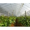 /product-detail/plastic-anti-bird-hail-insect-plants-protection-net-for-agriculture-60577519076.html