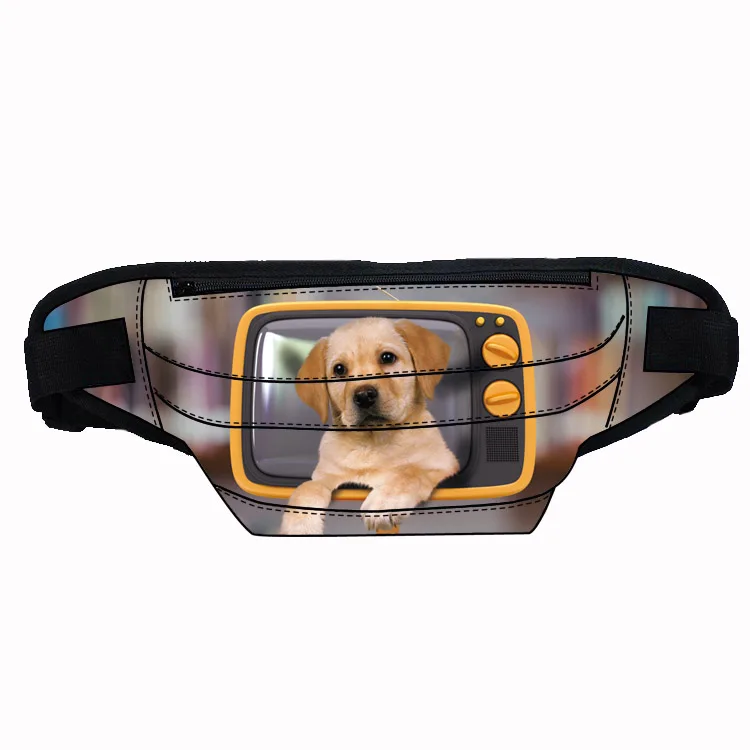 Lovely dog design printing custom bag belt waist with multi compartment large capacity lightweight trendy waist bag, Customized
Lovely dog design printing custom bag belt waist with multi compartment large capacity lightweight trendy waist bag, Customized