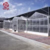 UV protection transparent greenhouse polycarbonate roofing sheet