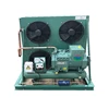 /product-detail/walk-in-freezer-compressor-cold-room-machine-low-temperature-bitzer-fish-frozen-machine-50045995929.html