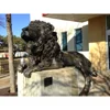 /product-detail/outdoor-art-garden-animal-sculpture-large-size-bronze-lion-statue-for-sale-60817490243.html