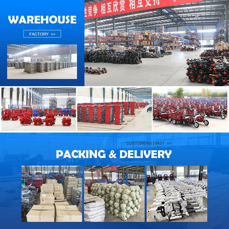 China Factory 650W Electric Tricycle Rickshaw / Passenger Rickshaw Cargo Electric Tricycle 3 wheels