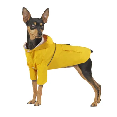 ALI-W17 New raincoat for dogs waterproof spring/summer hooded breathable double layer windbreaker, Picture
ALI-W17 New raincoat for dogs waterproof spring/summer hooded breathable double layer windbreaker, Picture