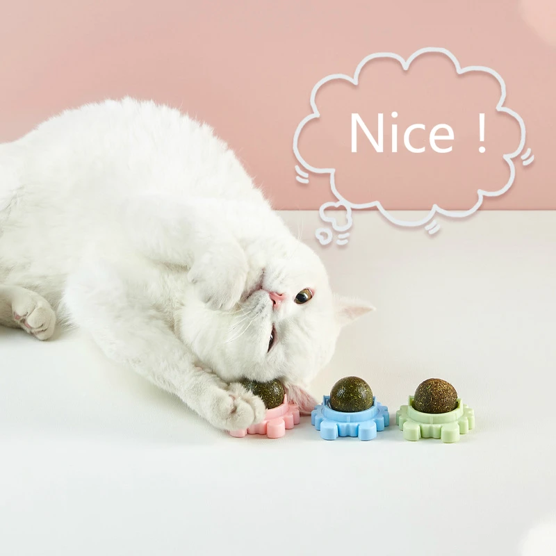 Latest Fashion Crab Shape Catnip Toy Cat Clean Teeth Spin Ball Happy Interactive Cat Toys, Picture
Latest Fashion Crab Shape Catnip Toy Cat Clean Teeth Spin Ball Happy Interactive Cat Toys, Picture