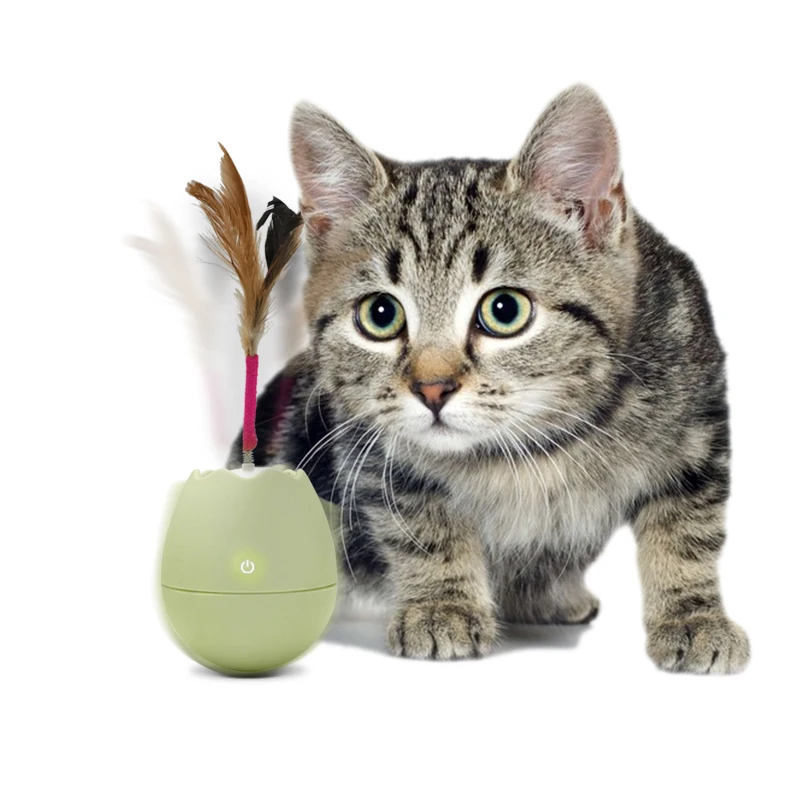 Private Model Electronic Interactive Pet Toy Cat Puzzle Cat Stick Tumbler Balance Car Teaser Ball Egg Toy for Cat Toys, Green,pink
Private Model Electronic Interactive Pet Toy Cat Puzzle Cat Stick Tumbler Balance Car Teaser Ball Egg Toy for Cat Toys, Green,pink