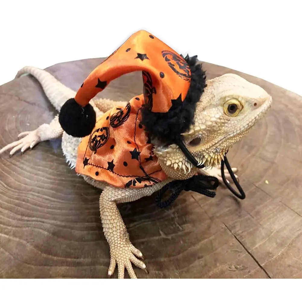 New Arrival Selling Best Adjustable Portable Halloween Christmas Hat Clothing Set For Lizard With Reasonable Price, Black
New Arrival Selling Best Adjustable Portable Halloween Christmas Hat Clothing Set For Lizard With Reasonable Price, Black
