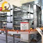 Jinmuren New Poultry Breeding Equipment Layer Chicken Cage for Nepal Market