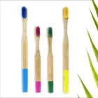 Bamboo Toohbrush Custom Logo 2020 Biodegradable