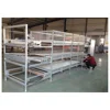/product-detail/day-old-chick-broilers-for-poultry-equipment-62390726522.html
