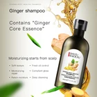 OEM packaging care oil anti dandruff bottle organic for dry loss hair shampoo