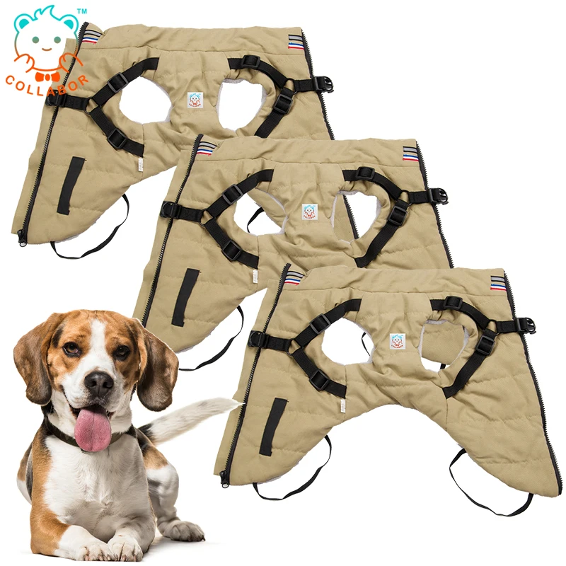 COLLABOR Dobermann Dog Neopren Harness Warm Waterproof Outdoor Dog Padded Harness Reversible Luxury Dog Harness Leather, Digital print
COLLABOR Dobermann Dog Neopren Harness Warm Waterproof Outdoor Dog Padded Harness Reversible Luxury Dog Harness Leather, Digital print