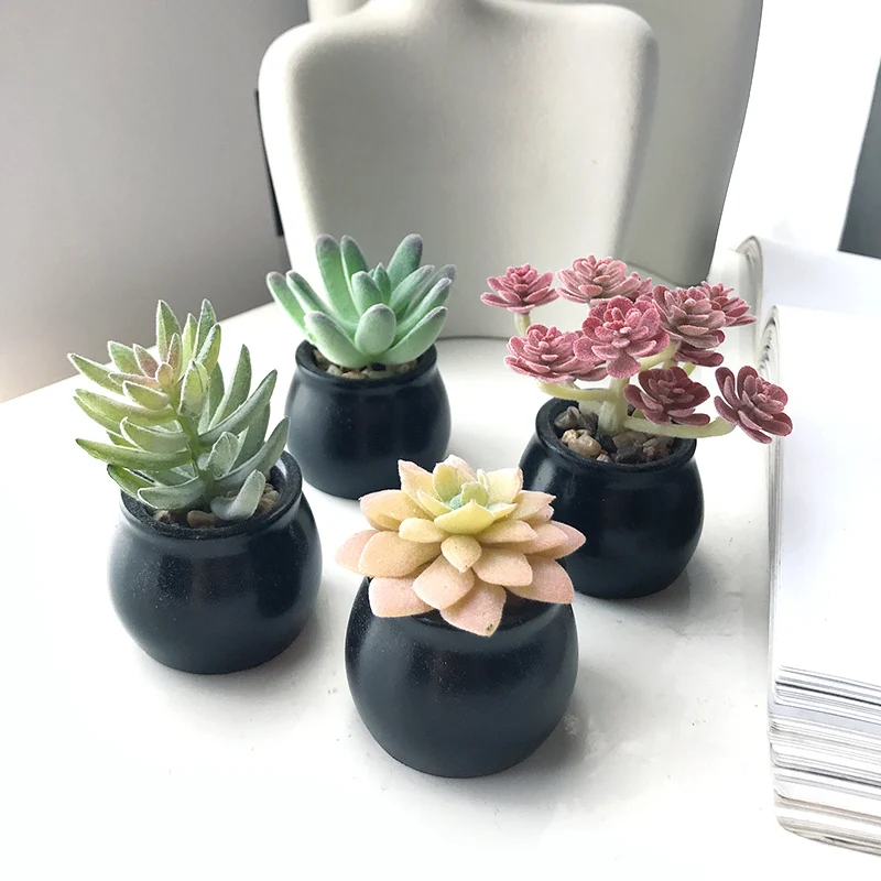 Wholesale Mini office desktop decoration Plants faux artificial plastic succulent plant Set, Green red, as photo
Wholesale Mini office desktop decoration Plants faux artificial plastic succulent plant Set, Green red, as photo