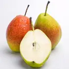 Fresh Pear Pearfresh Fruit Pear Yellow Fresh Pears/Big Size Golden Pears/Sweet Pear Fruit