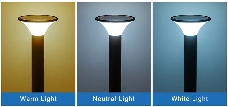 solar pathway light (5)