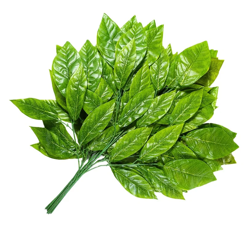 Wholesale Price High Quality Artificial Mango Leaf Green Leaves Garden Decoration Branches Decoration Mango Leaves, As picture
Wholesale Price High Quality Artificial Mango Leaf Green Leaves Garden Decoration Branches Decoration Mango Leaves, As picture