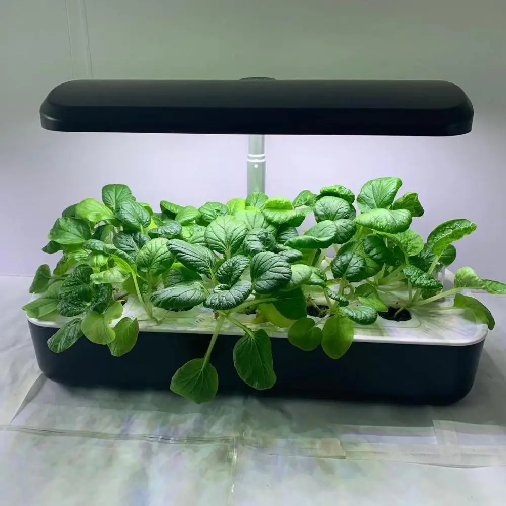 ABIS LED Indoor Smart Garden Pot Hydroponics Flower Pots Planters For Plants Growing
ABIS LED Indoor Smart Garden Pot Hydroponics Flower Pots Planters For Plants Growing