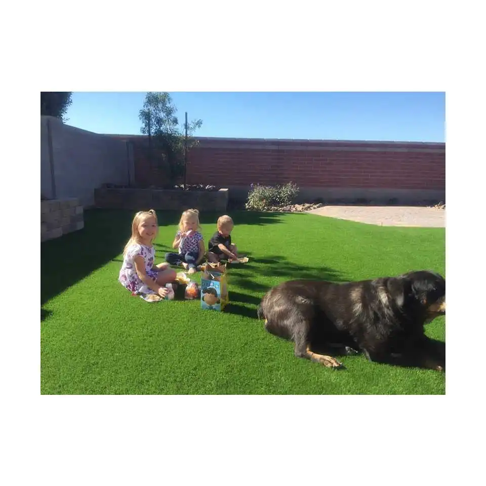 natural soft play artificial carpet grass mat grass turf price for kids, baby outdoor artificial grass, Color customized
natural soft play artificial carpet grass mat grass turf price for kids, baby outdoor artificial grass, Color customized