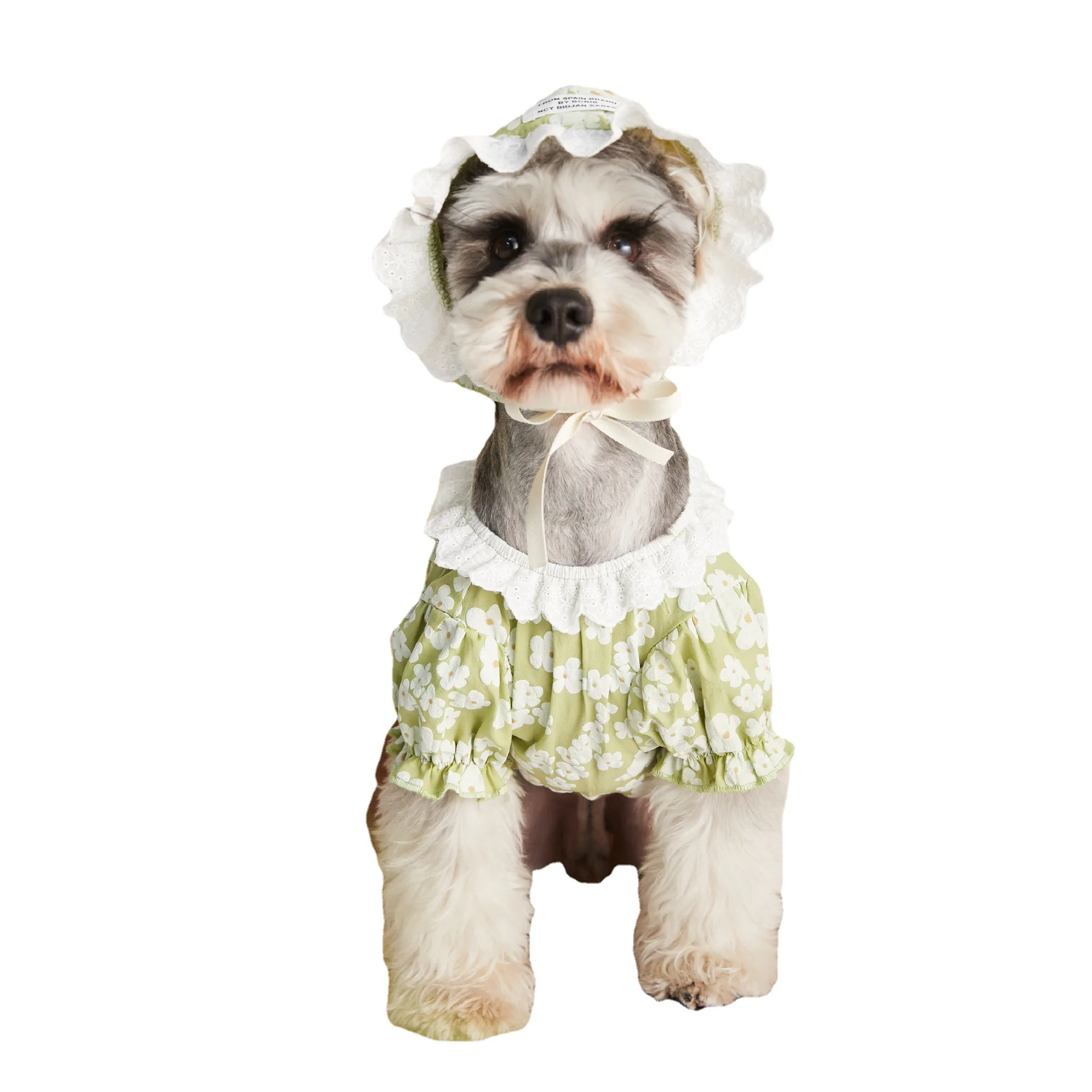 Pet dog lace floral shirt hat suit Teddy short-sleeved T-shirt clothing in spring and summer
Pet dog lace floral shirt hat suit Teddy short-sleeved T-shirt clothing in spring and summer