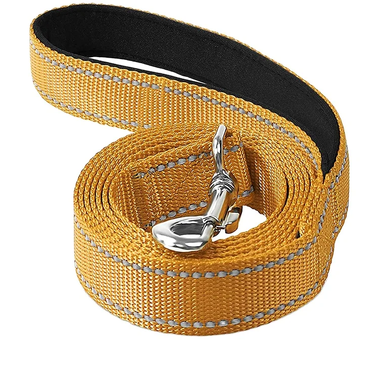 Pet Accessories Dog Leash Handle Nylon Running Dog Pet Leash Manufacture, Customized color
Pet Accessories Dog Leash Handle Nylon Running Dog Pet Leash Manufacture, Customized color