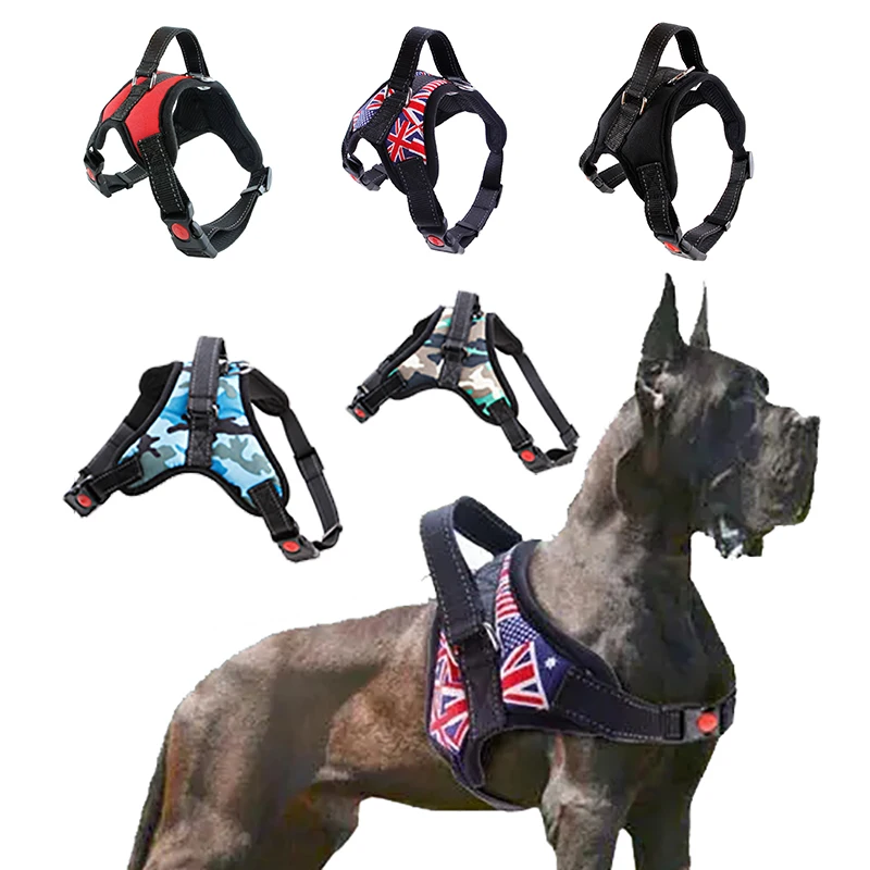 wholesale Pet Supplies Medium and Large Dogs Alaskan Tibetan Labrador Dog Collars Leashing Ropes, Mix
wholesale Pet Supplies Medium and Large Dogs Alaskan Tibetan Labrador Dog Collars Leashing Ropes, Mix