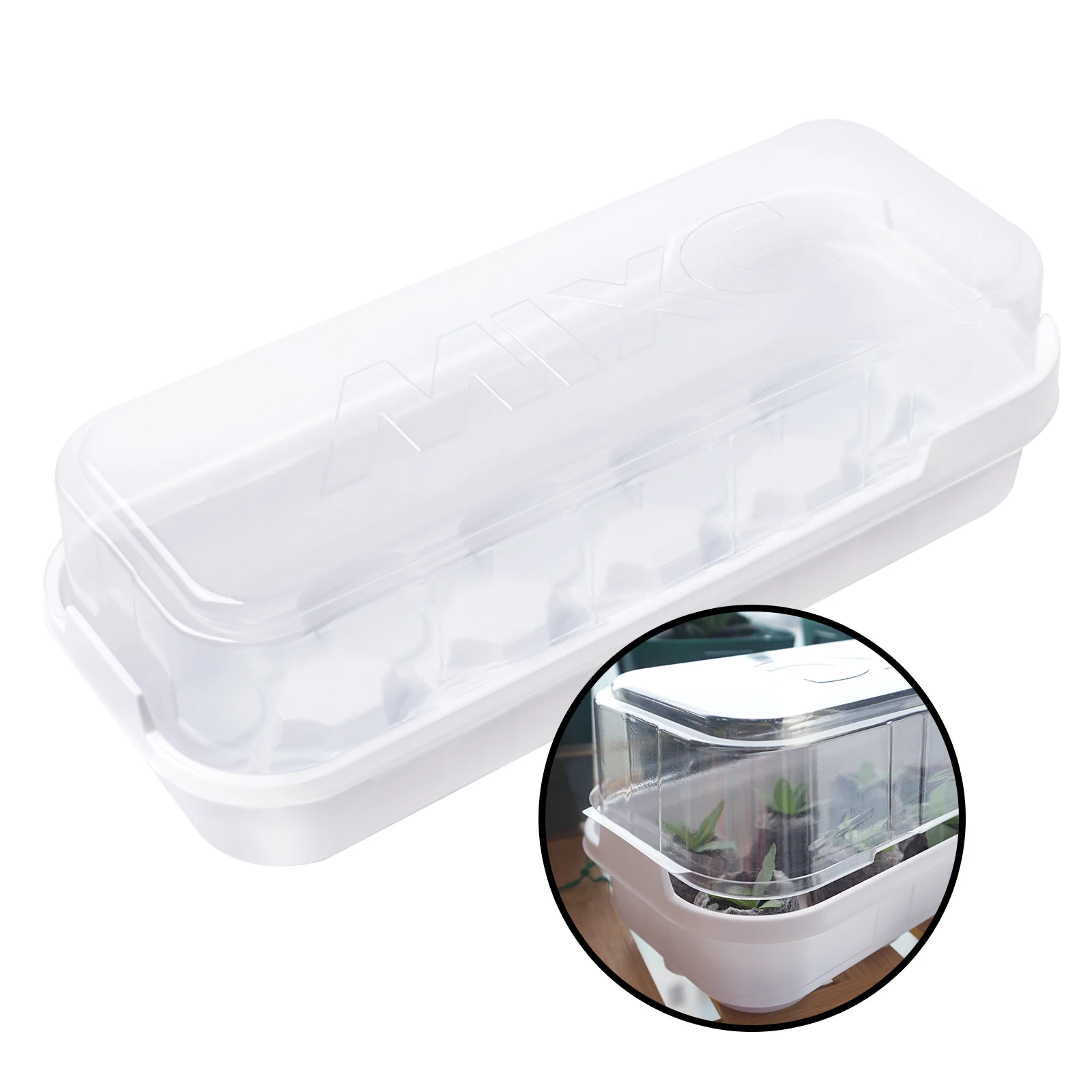 Windowsill Tray Custom Packaging Seedling Starter Tray with Lid in Agricultural, Green white black
Windowsill Tray Custom Packaging Seedling Starter Tray with Lid in Agricultural, Green white black