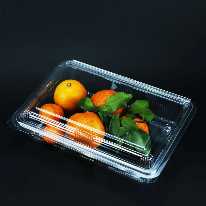 OEM Take Away Fast Food Packaging Wholesale Blister Disposable Fast Food Container Disposable
OEM Take Away Fast Food Packaging Wholesale Blister Disposable Fast Food Container Disposable