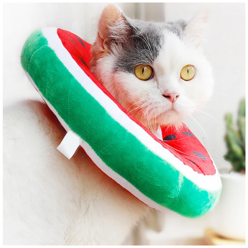 UFBemo personality wholesale Well made Various shapes Fruit shape pet collar, Diverse
UFBemo personality wholesale Well made Various shapes Fruit shape pet collar, Diverse