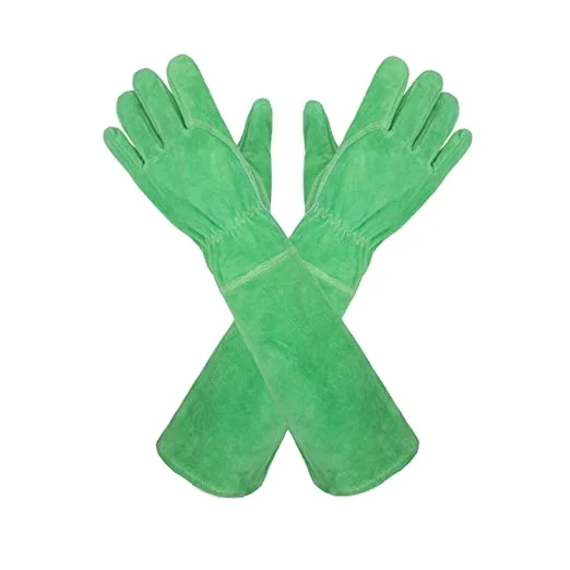 PRI Breathable Long Cowhide Leather Thorn Proof Rose Pruning Leather Gloves Women Garden Gloves Women, Green
PRI Breathable Long Cowhide Leather Thorn Proof Rose Pruning Leather Gloves Women Garden Gloves Women, Green