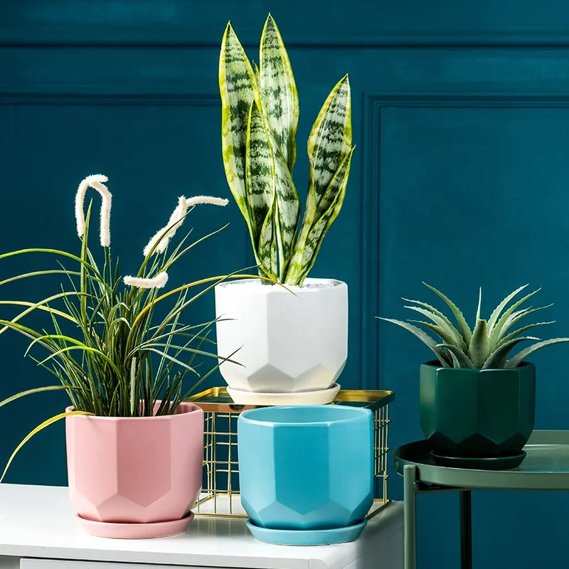 Nordic style simple modern multi-color floor with tray flowerpot living room balcony indoor and outdoor ceramic pot
Nordic style simple modern multi-color floor with tray flowerpot living room balcony indoor and outdoor ceramic pot