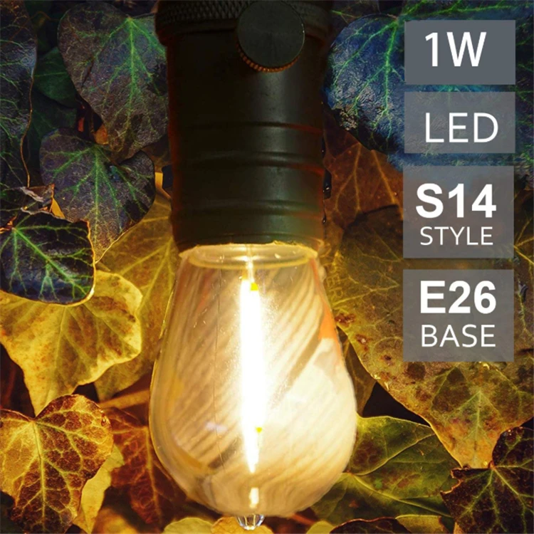 Edison led bulb S1404.jpg