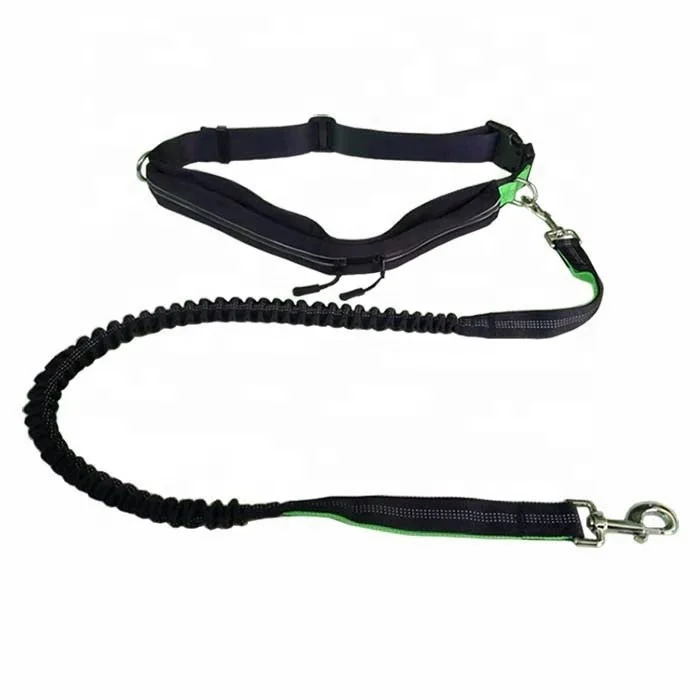 Wholesale Nylon Reflective Hands Free Jogging Bungee Dog Leash With Waterproof Waist Bag
Wholesale Nylon Reflective Hands Free Jogging Bungee Dog Leash With Waterproof Waist Bag