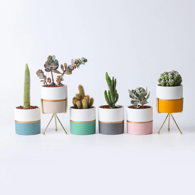 New item small ceramic flower pots succulent planter pot for indoor plants, As pictures
New item small ceramic flower pots succulent planter pot for indoor plants, As pictures