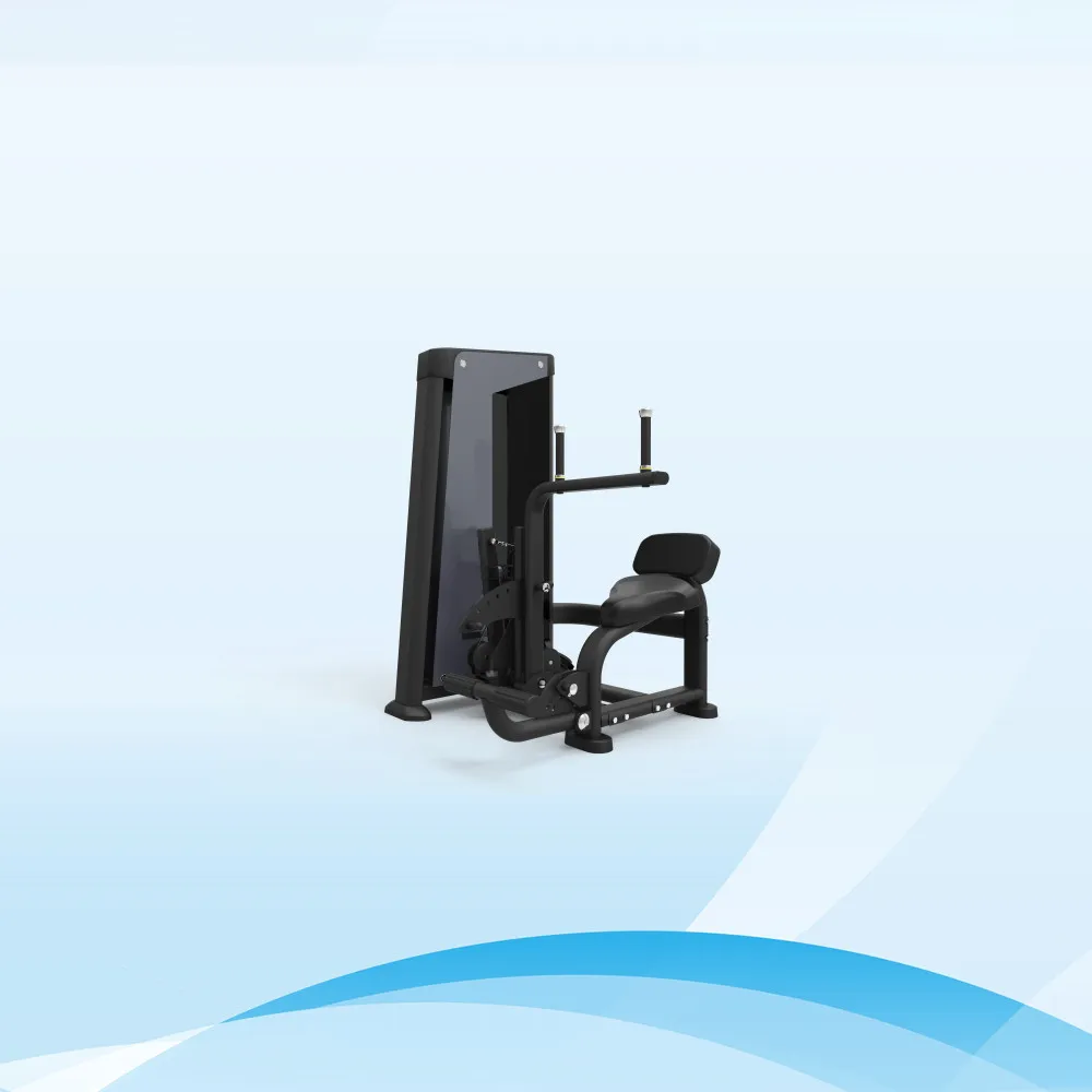 Popular Multi Gym Equipment Abdominal/Back Extension Machine Strength Exercise Machine With Good Quality and Lower Price, Customized color
Popular Multi Gym Equipment Abdominal/Back Extension Machine Strength Exercise Machine With Good Quality and Lower Price, Customized color