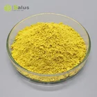 Quercetin Gharmaceutical Grade Powder