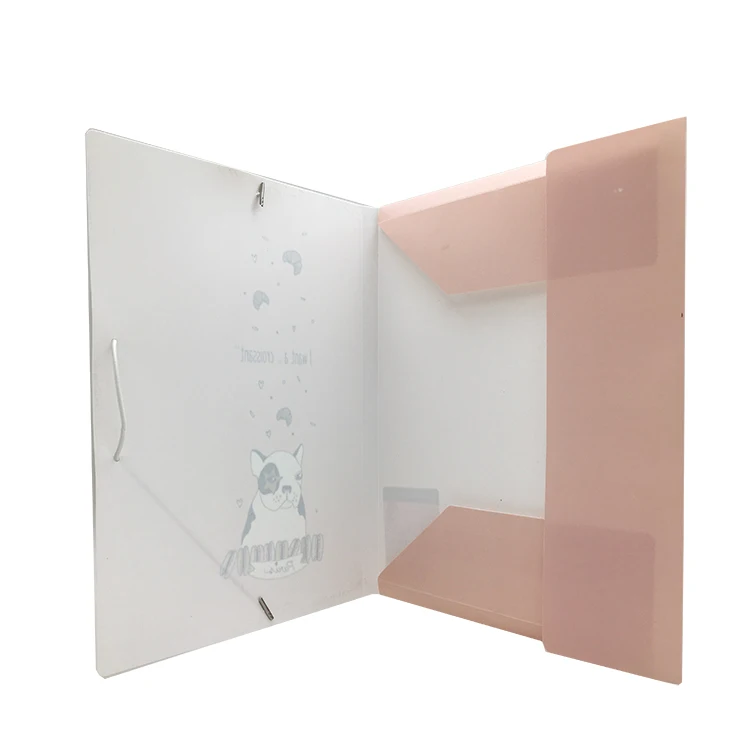 colorful transparent PP file folder