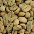 Coffee Green Greengreen Yunnan Coffee Beans Arabica Green Coffee Beans For Wholesale