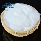 7D Hollow Conjugated Polyester Staple Fiber Stuffing Filling Material