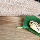 Rolling Pin High Quality Food Grade Texture Logo Kids Embossing Wooden Rolling Pin