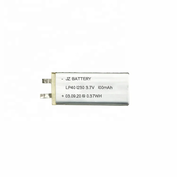 LP401230 100Ah