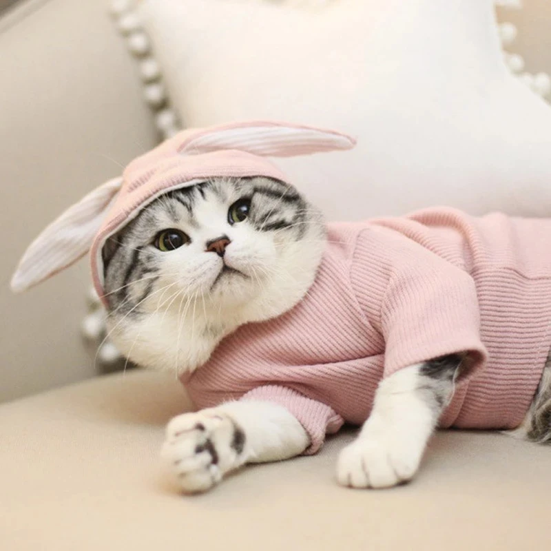 Sweet Pet Cat Costumes Winter Warm Cat Clothes For Small Cats Dogs Cute Rabbit Ear Shaped Kitten Kitty Coat Jacket Pet Clothing
Sweet Pet Cat Costumes Winter Warm Cat Clothes For Small Cats Dogs Cute Rabbit Ear Shaped Kitten Kitty Coat Jacket Pet Clothing