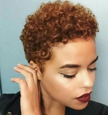 Wholesale price spot European and American wig explosion small curly wig African lady short hair wig headgear
Wholesale price spot European and American wig explosion small curly wig African lady short hair wig headgear