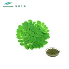 Moringa Oleifera Leaf Extract Powder Moringa Oleifera Powder 10% Saponins