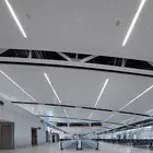CHINA HIGH QUALITY ALUMINUM 100, 200, 300 WIDTH LINEAR CEILING PANELS