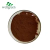 Wellgreen What Is Pine Bark Extract Pine Bark P.E. 95% OPC