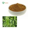 /product-detail/pure-natural-nettle-extract-for-tea-root-extract-tresan-nettle-shampoo-62228950377.html